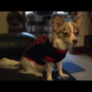 Meet your Posher, Pam